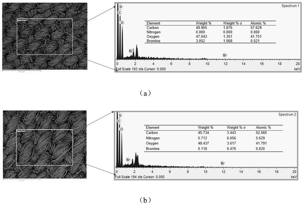 Fluorocarbon chain-free hydrophobic fabric as well as preparation method and application thereof