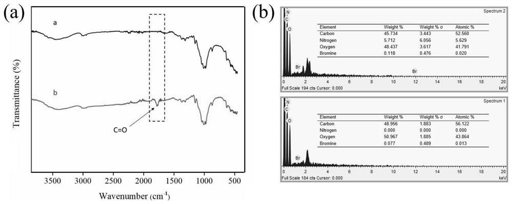 Fluorocarbon chain-free hydrophobic fabric as well as preparation method and application thereof