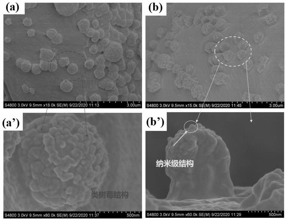 Fluorocarbon chain-free hydrophobic fabric as well as preparation method and application thereof