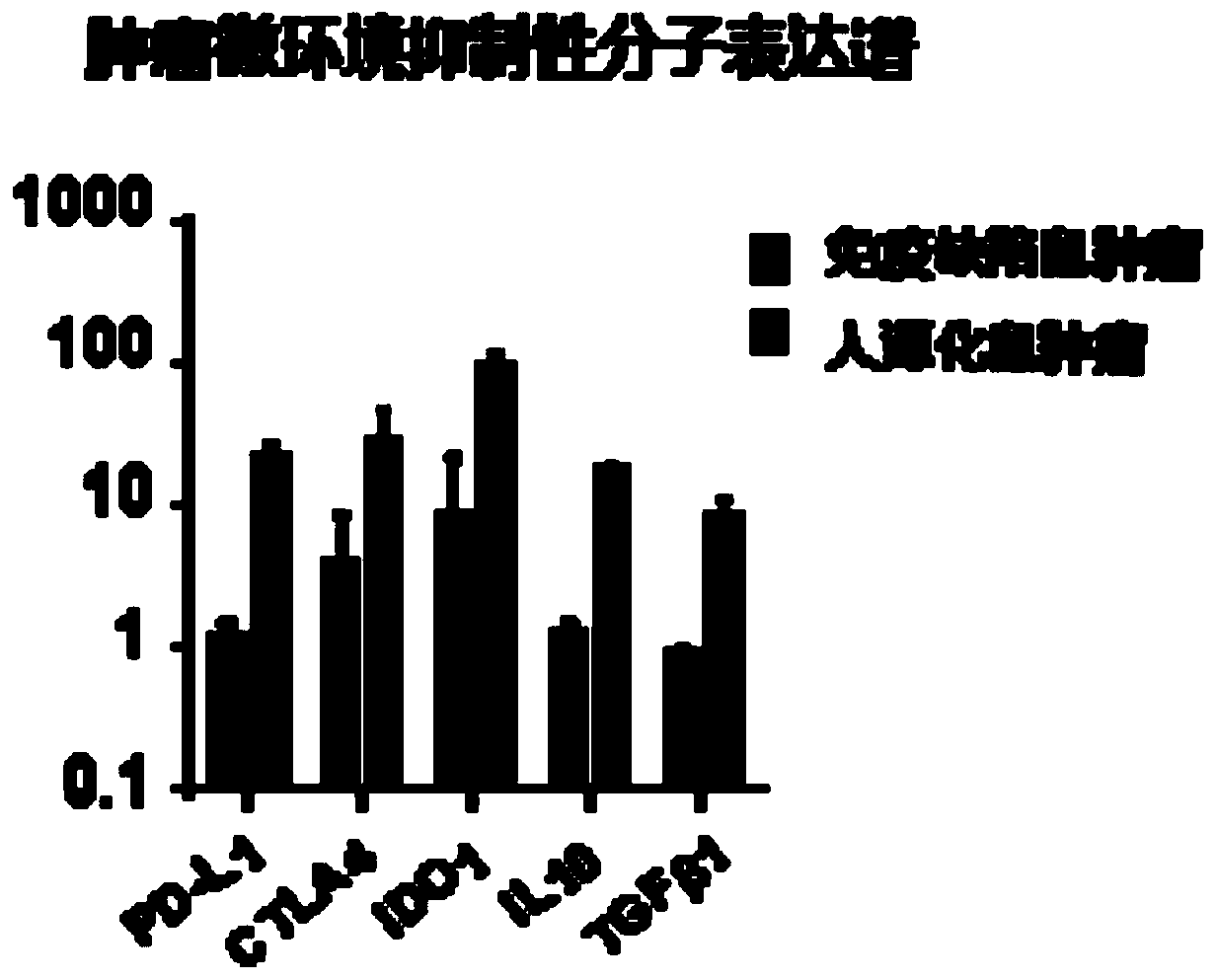 Constructed humanized mouse tumor model and preparation method and application thereof