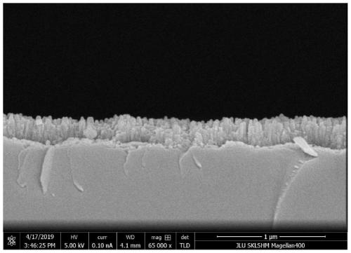 N type boron carbon nitrogen film/P type single crystal silicon heresy PN native device and preparation method