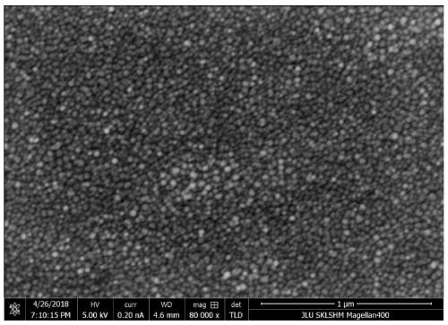 N type boron carbon nitrogen film/P type single crystal silicon heresy PN native device and preparation method