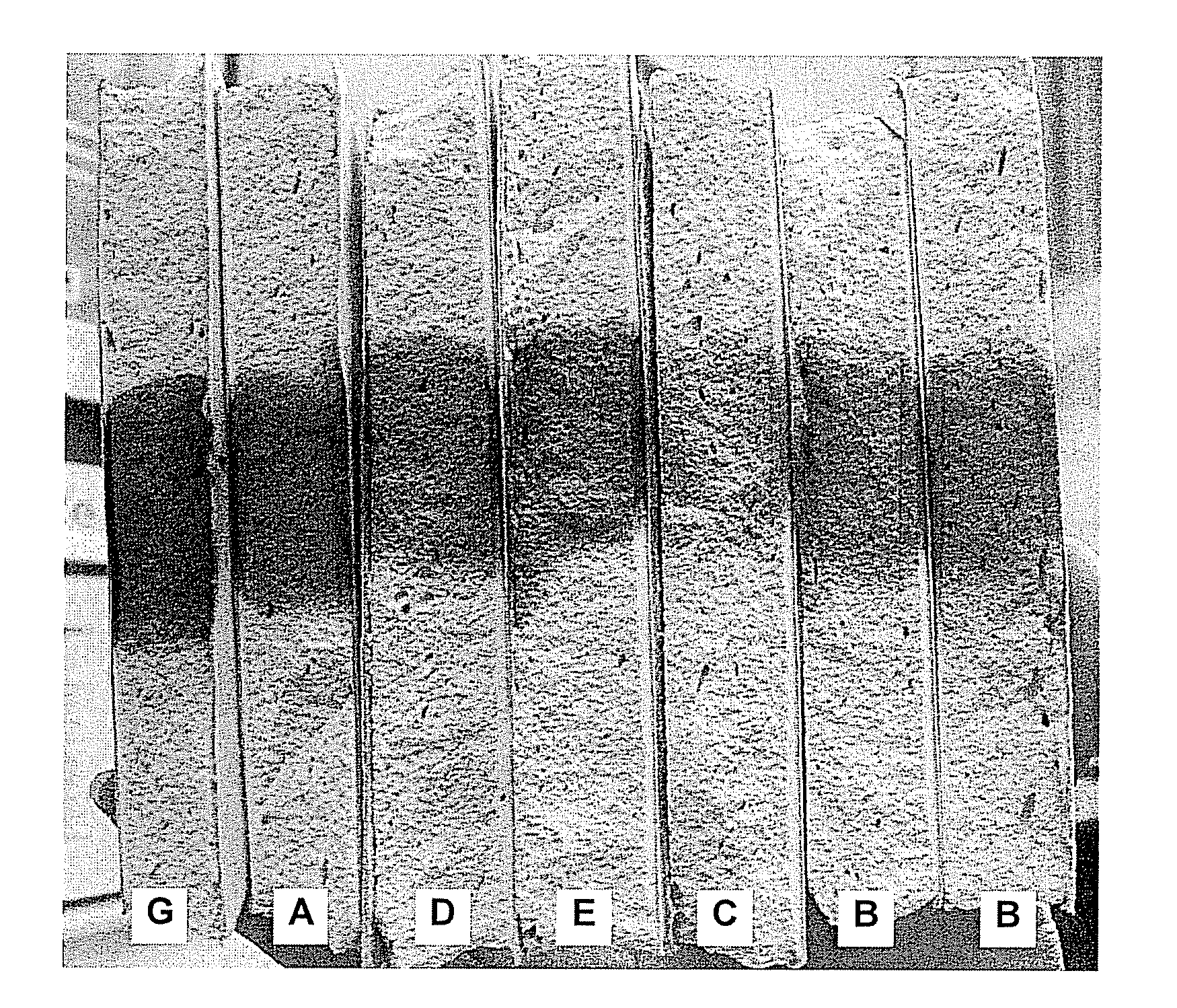 Gypsum based panel and method for making gypsum based panel