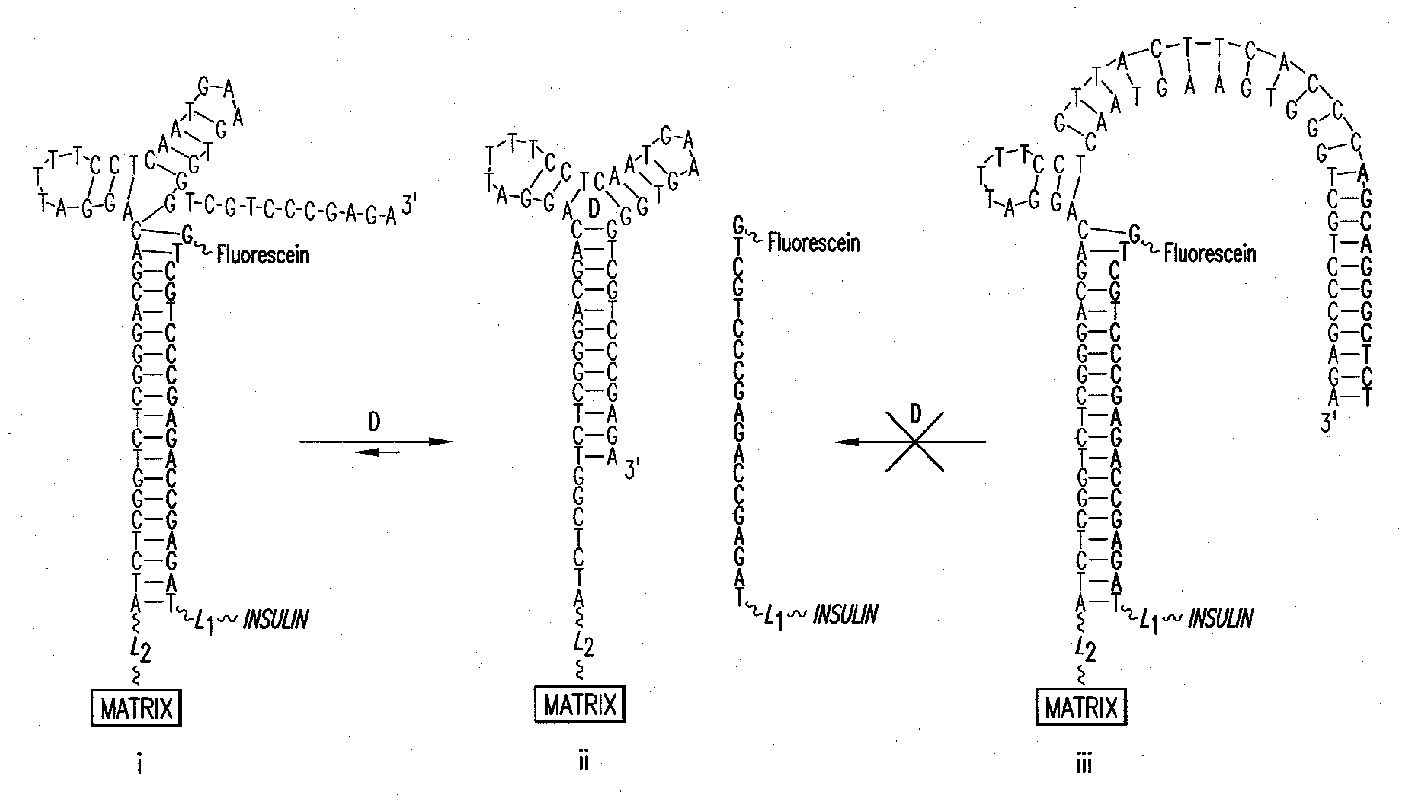 Aptamer-mediated drug release