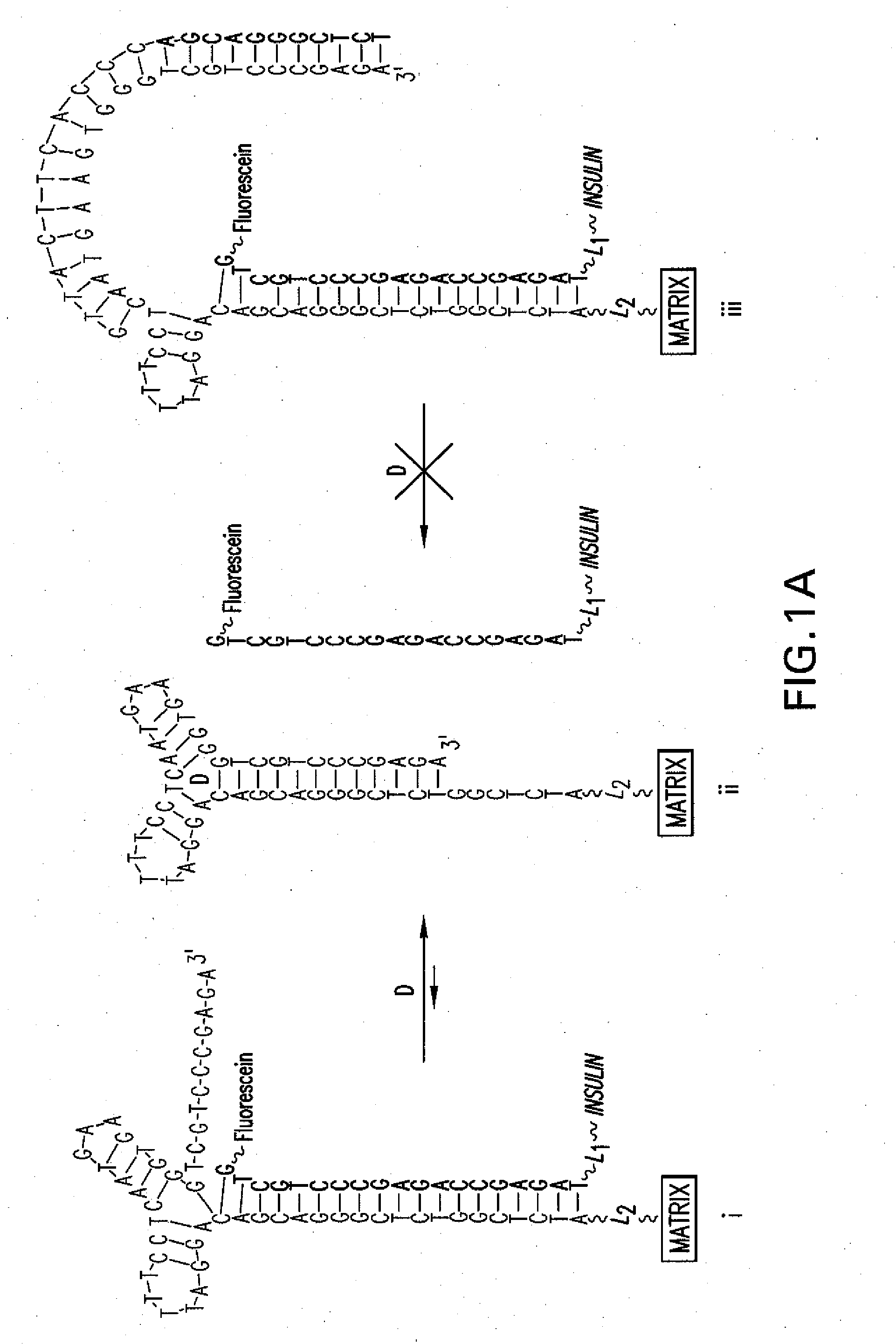 Aptamer-mediated drug release