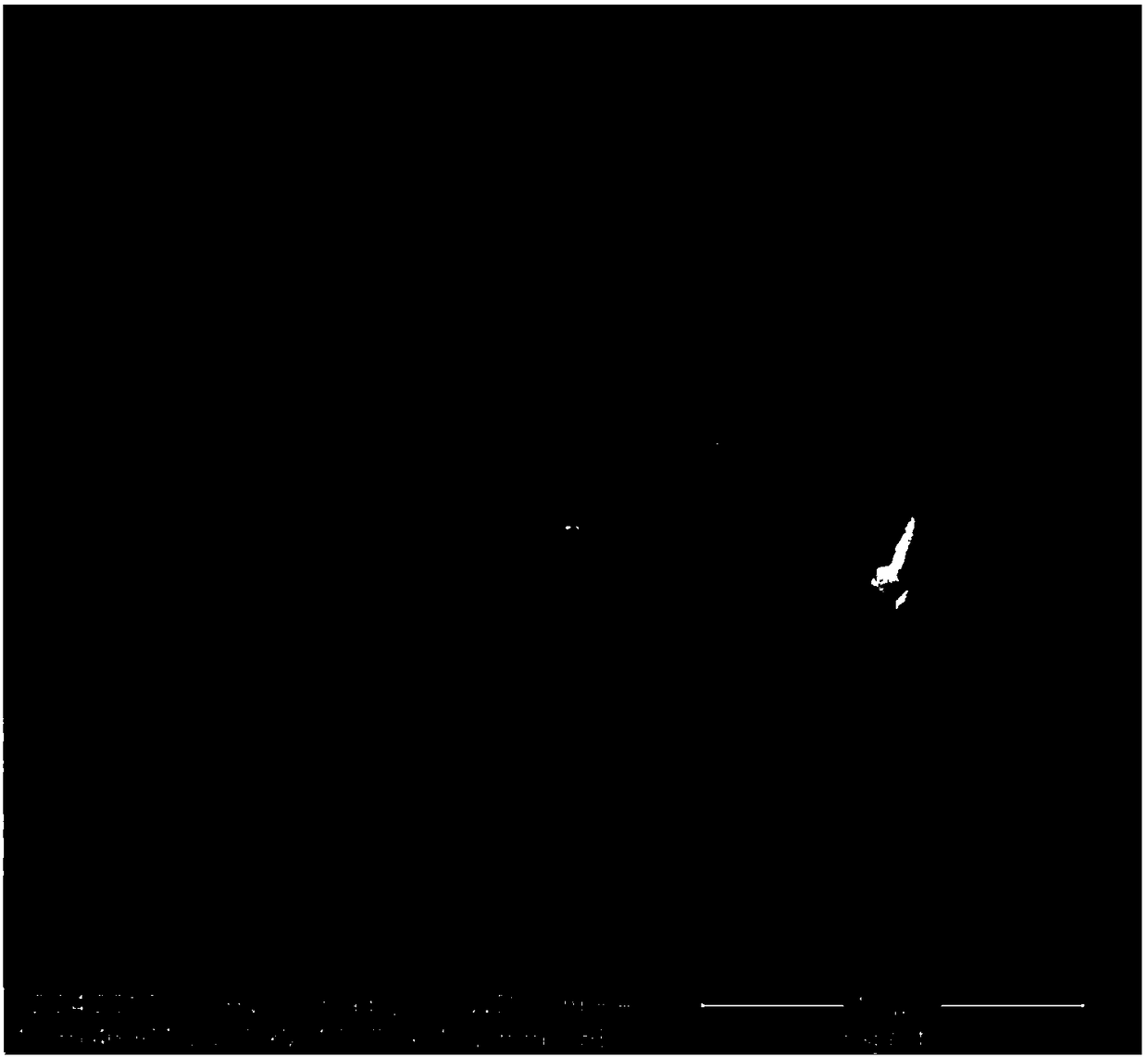 Ordered inorganic-organic hybrid nano-material with room temperature ferromagnetism and preparation thereof