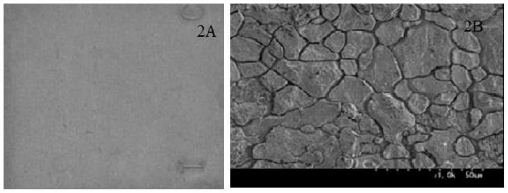 Corrosion inhibitor for preventing surface of hot-rolled pickled steel from blackening and preparation method of corrosion inhibitor