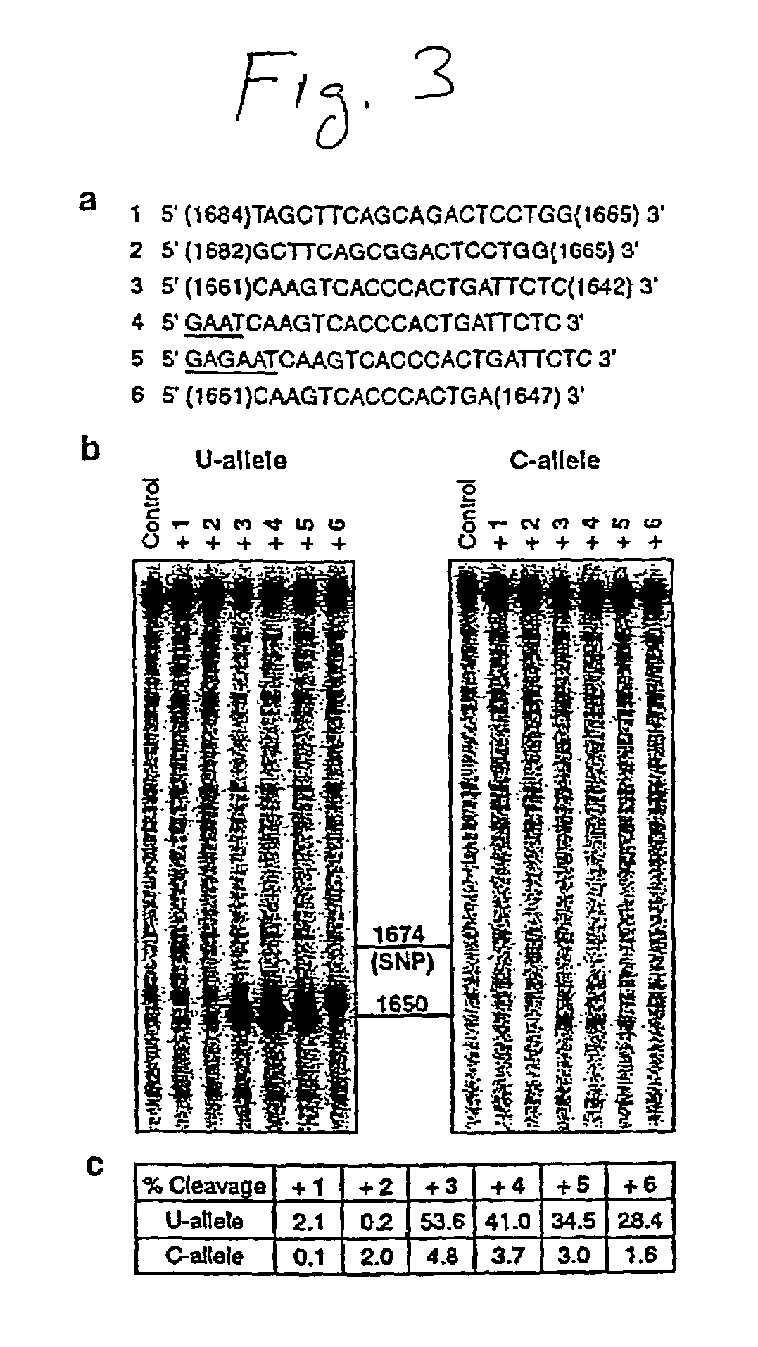 Methods for targeting RNA molecules