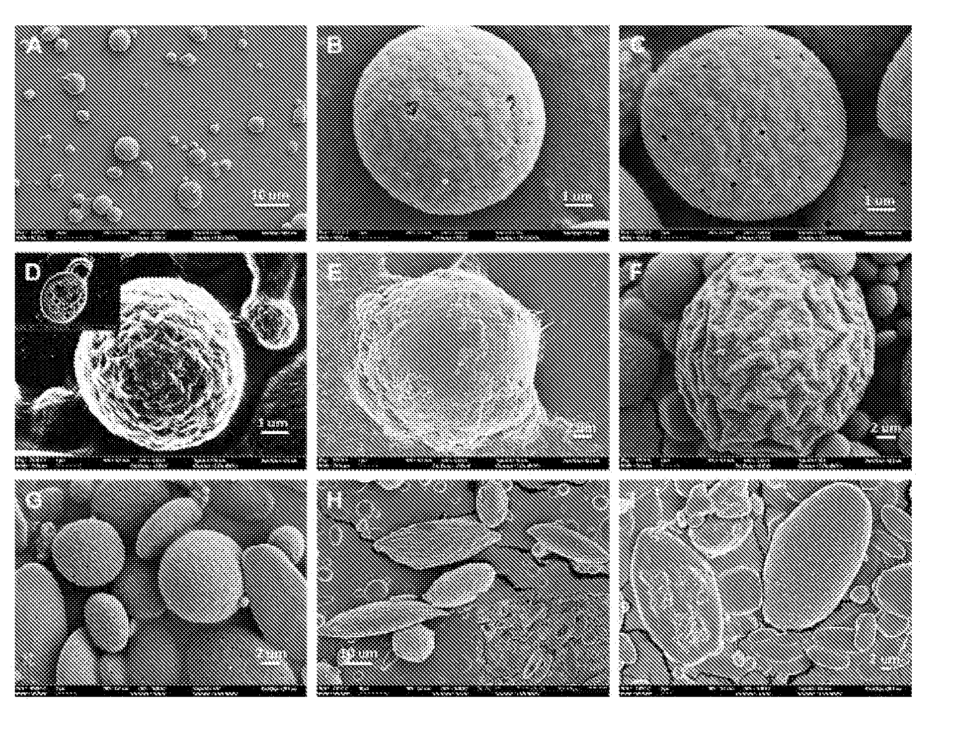 Silk nanospheres and microspheres and methods of making same