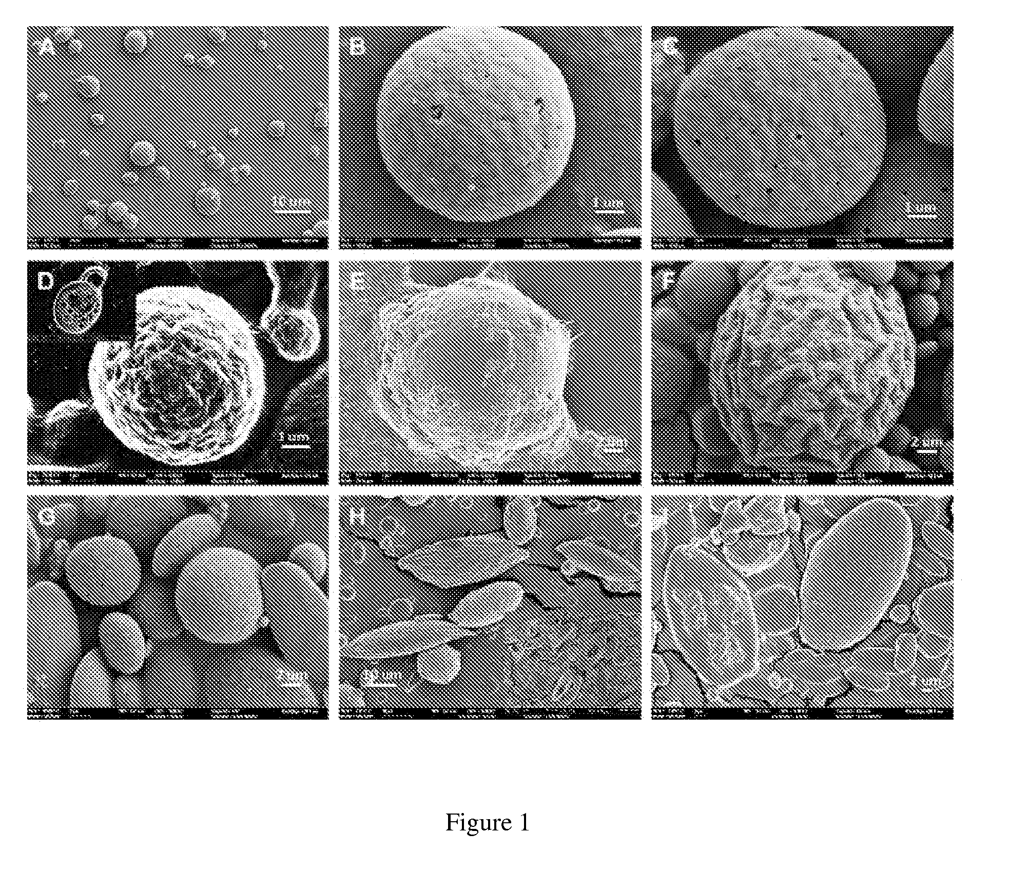 Silk nanospheres and microspheres and methods of making same