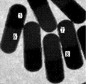 High-speed unordered capsule defect detecting system