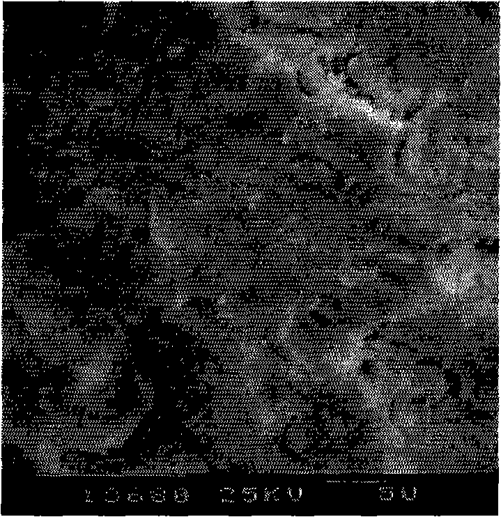 Electrode having titanium-based oxide composite coating and manufacturing method thereof