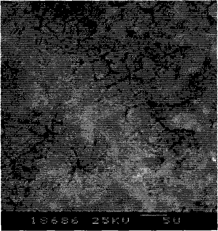 Electrode having titanium-based oxide composite coating and manufacturing method thereof