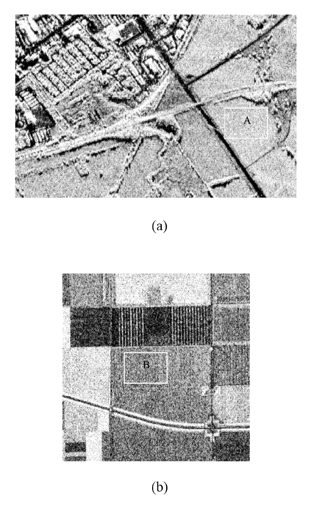 Singular value decomposition non-local mean-based polarized synthetic aperture radar (SAR) data speckle suppression method