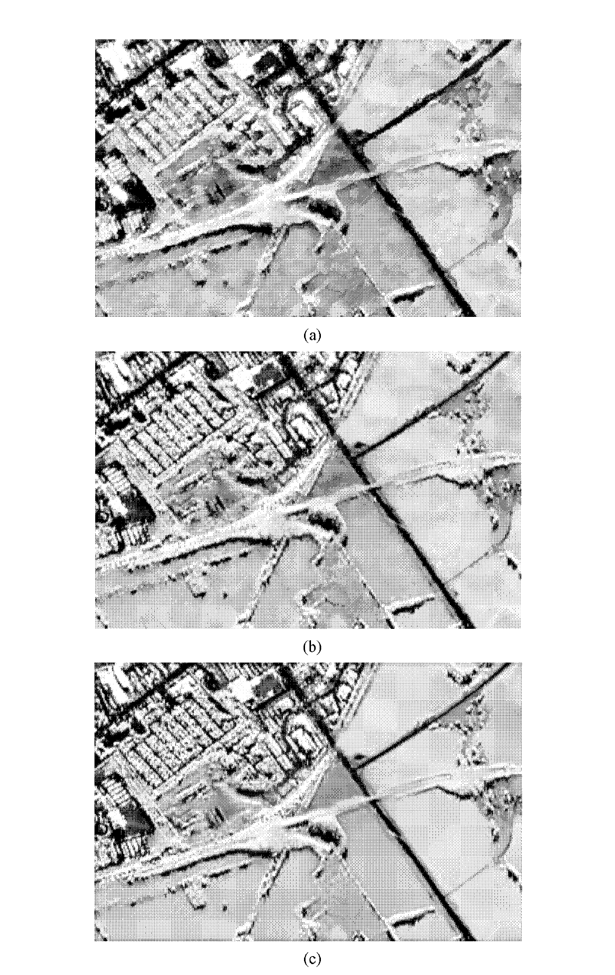 Singular value decomposition non-local mean-based polarized synthetic aperture radar (SAR) data speckle suppression method