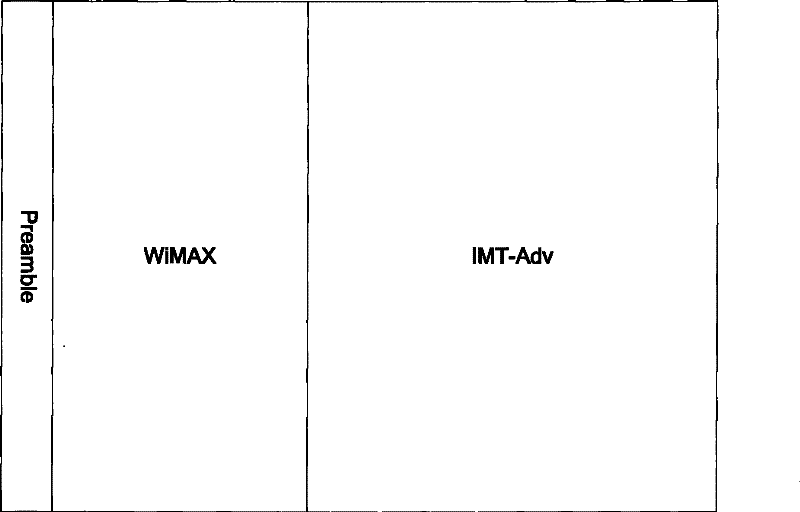 System pilot design method compatible with wimax and channel estimation method based on the pilot