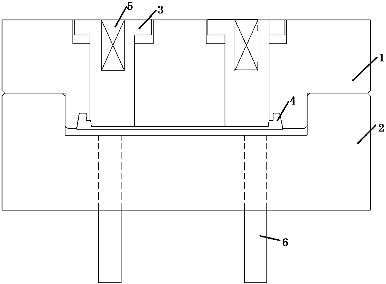 Mold assembly for steel disc injection molding in mold