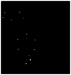 Method of constructing all-atom model of high polymer and supercritical carbon dioxide mixed system