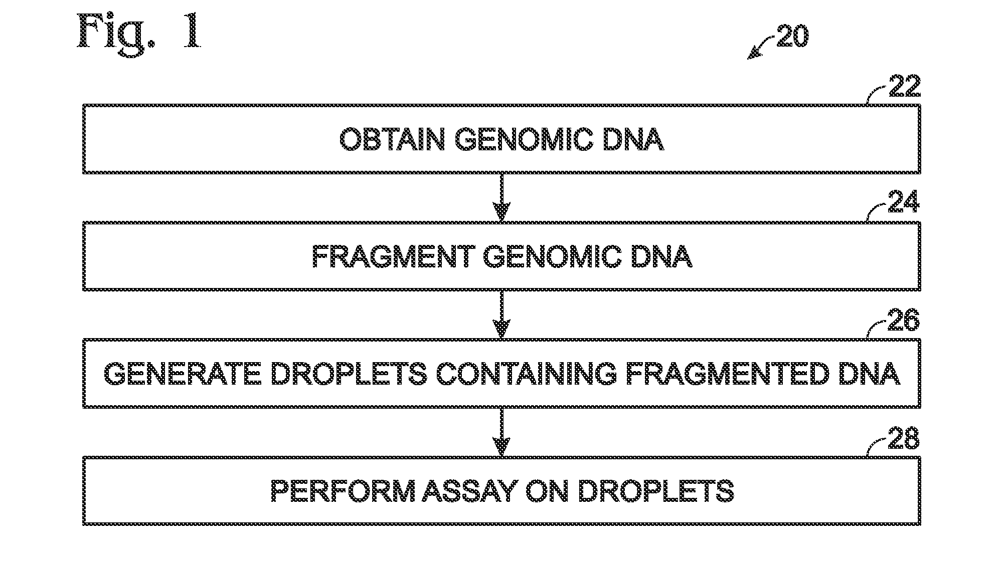 Analysis of fragmented genomic DNA in droplets