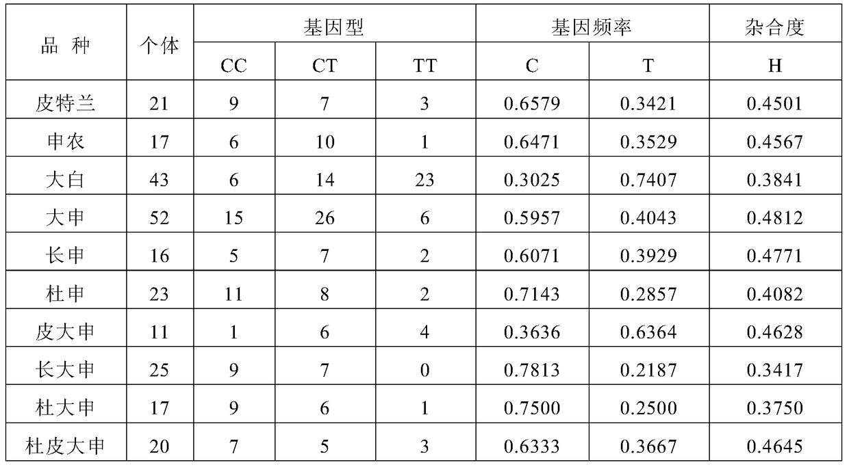 A SNP molecular marker for traceability on pig chromosome 6 and its application