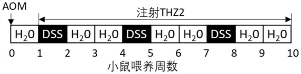 Application of cdk7 inhibitor in preparation of medicine for ulcerative colitis or colon cancer