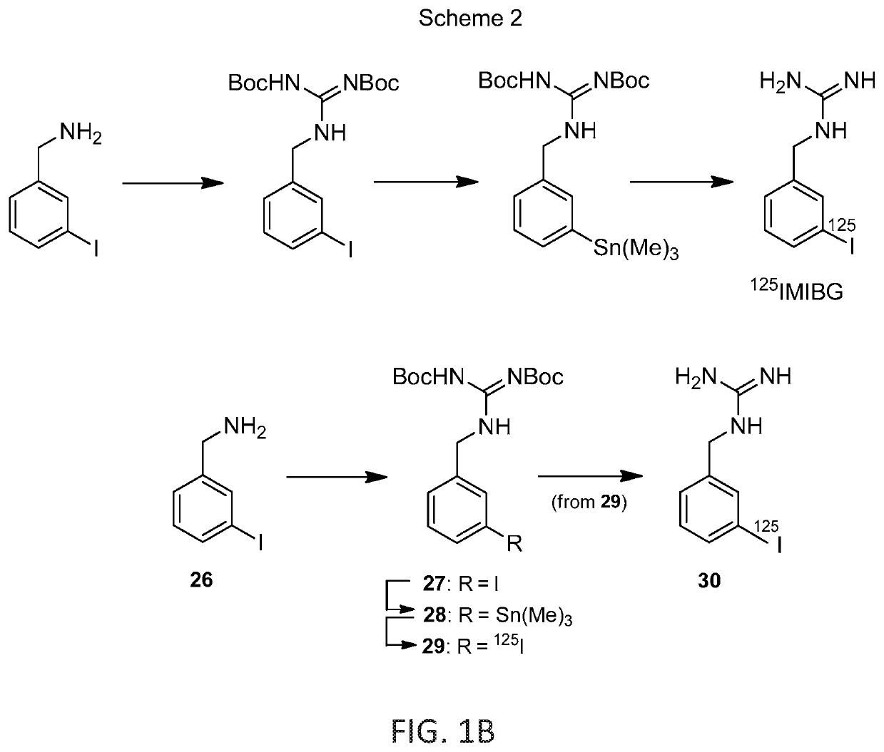 MIBG analogs and uses thereof