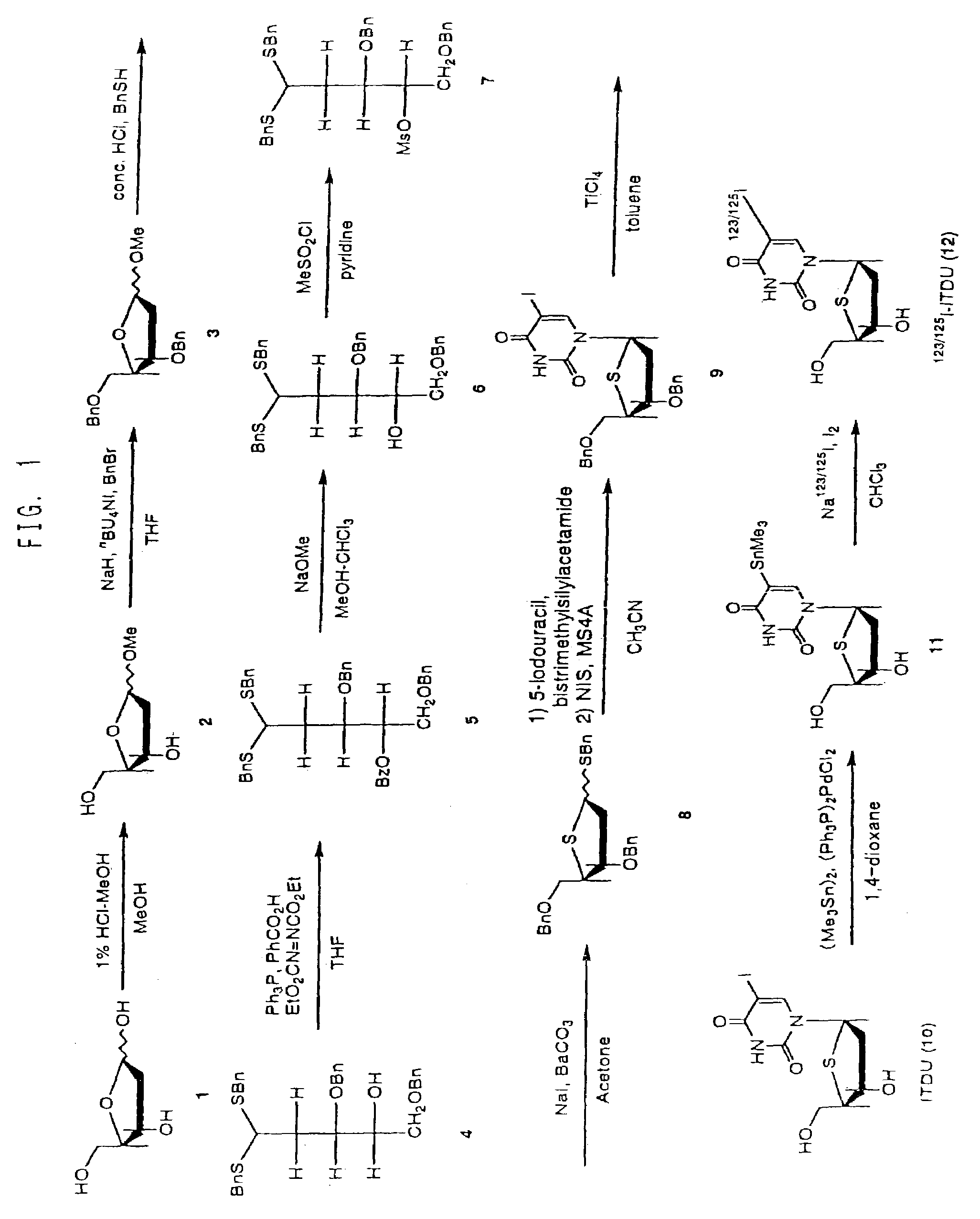 Drugs for the diagnosis of tissue-reproductive activity or the treatment of proliferative diseases