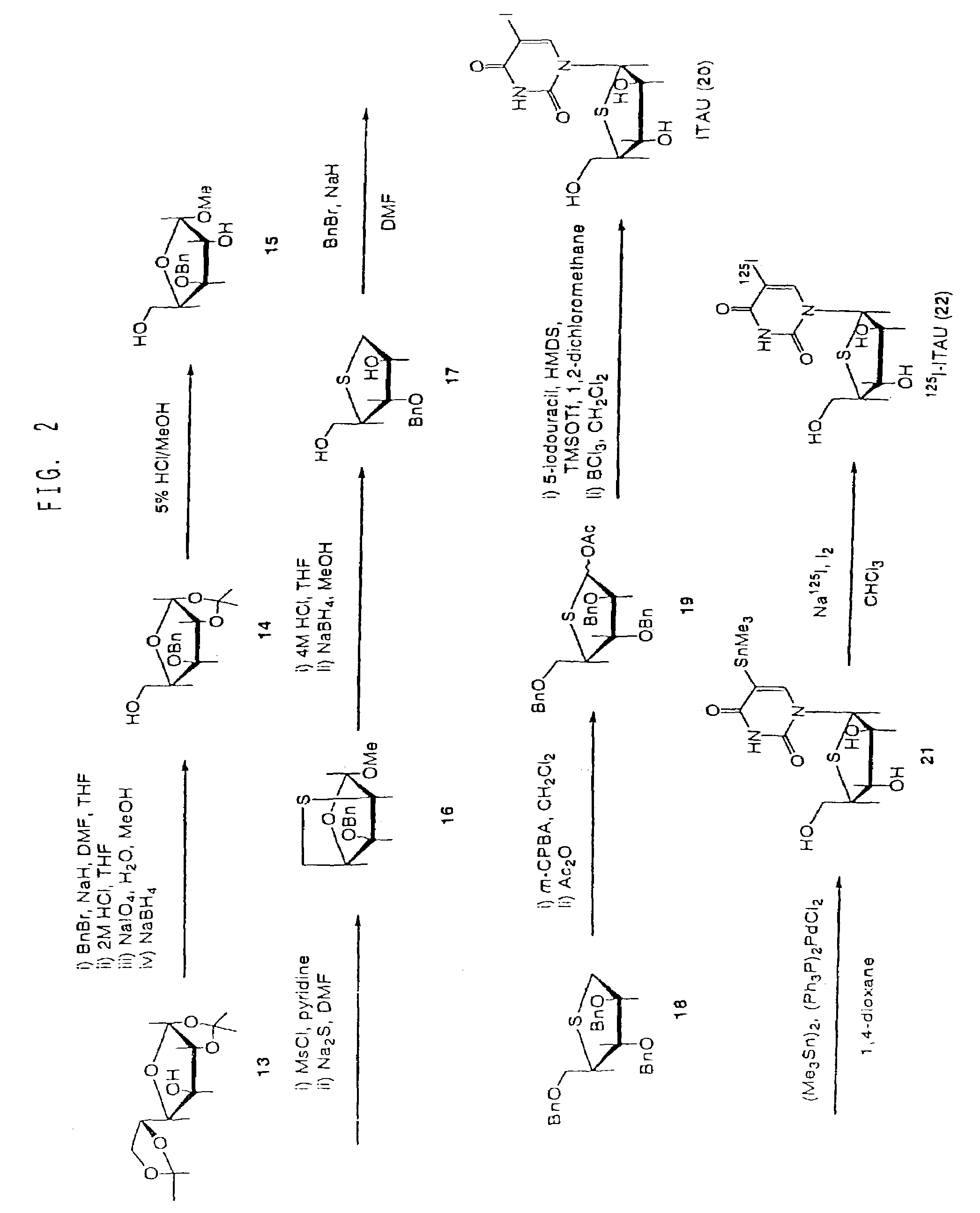 Drugs for the diagnosis of tissue-reproductive activity or the treatment of proliferative diseases