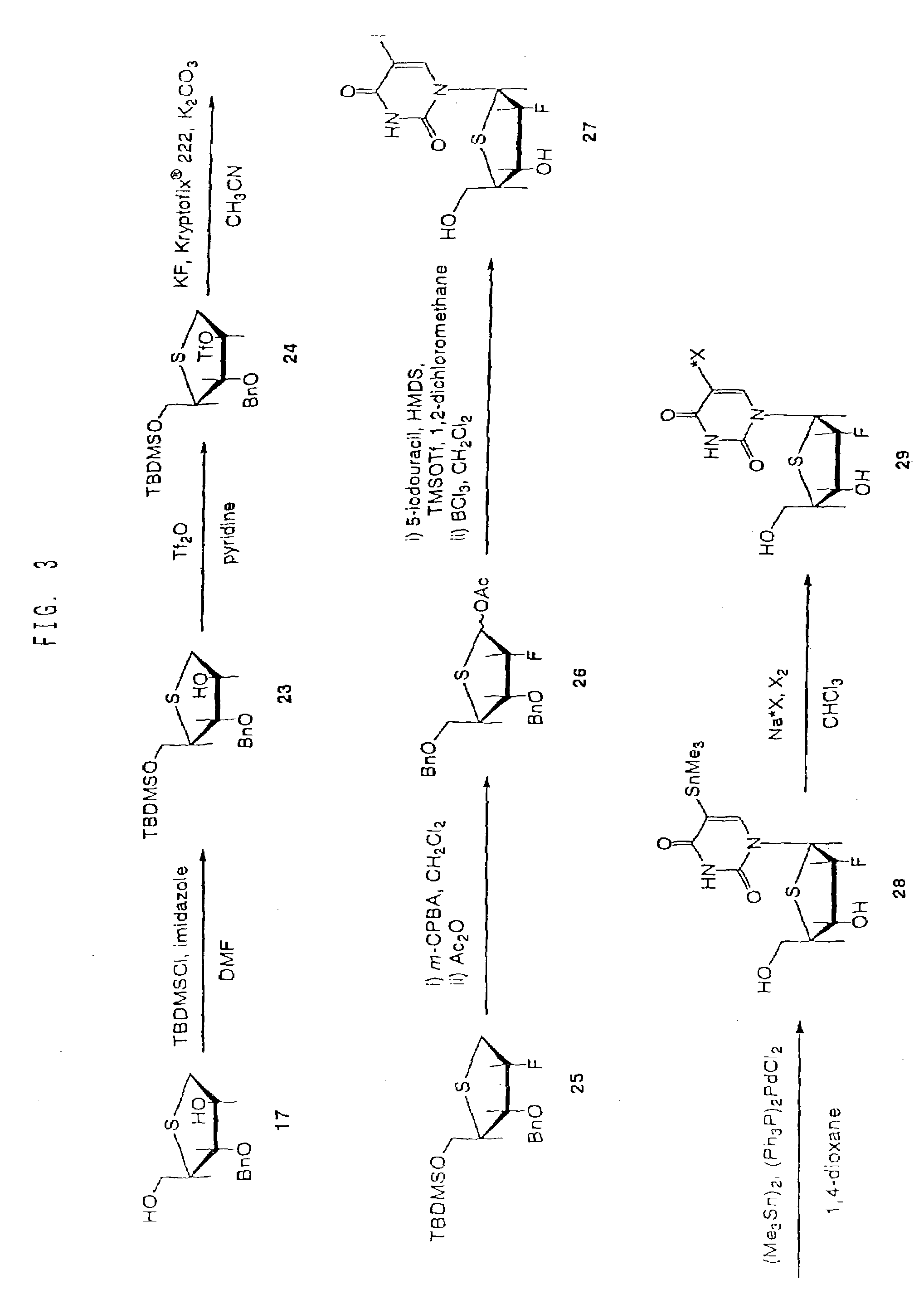 Drugs for the diagnosis of tissue-reproductive activity or the treatment of proliferative diseases