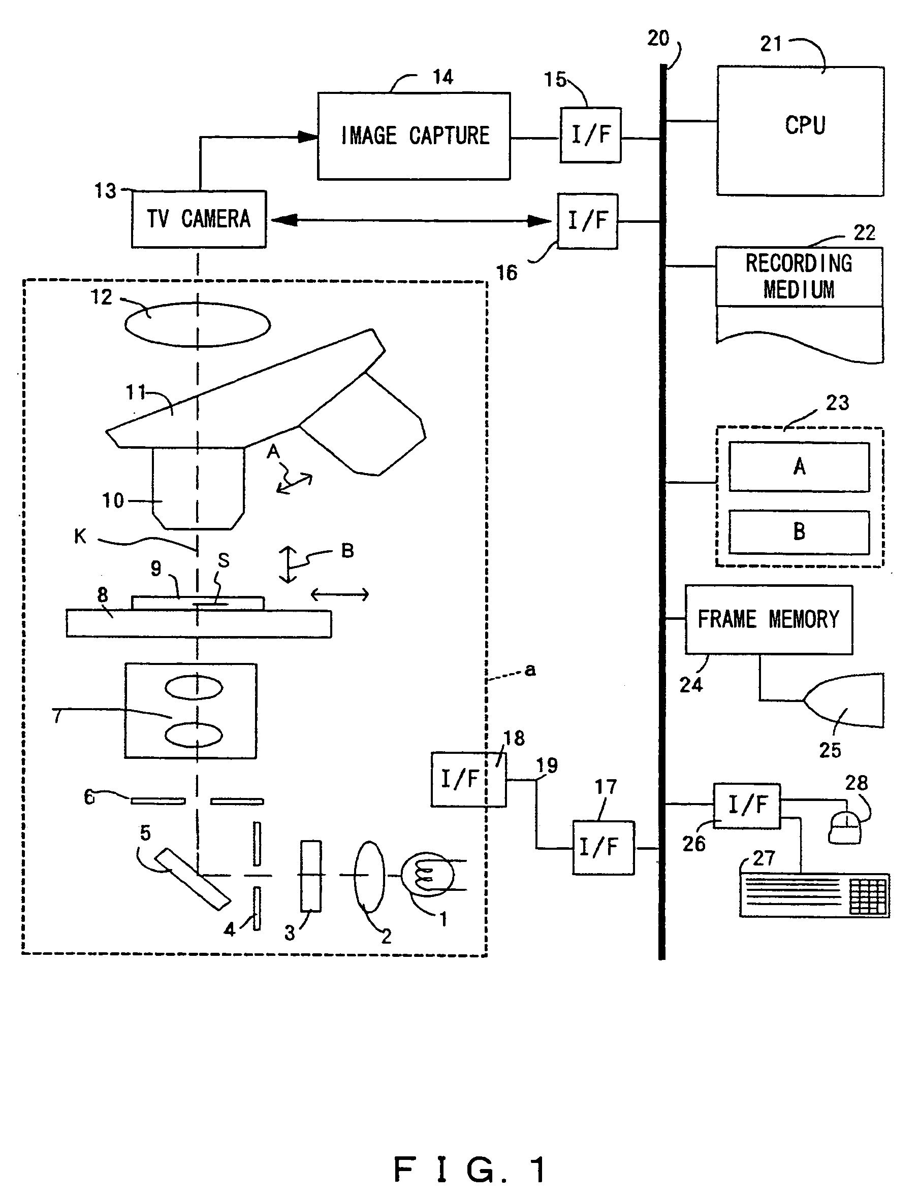 Microscopic image capture apparatus and microscopic image capturing method