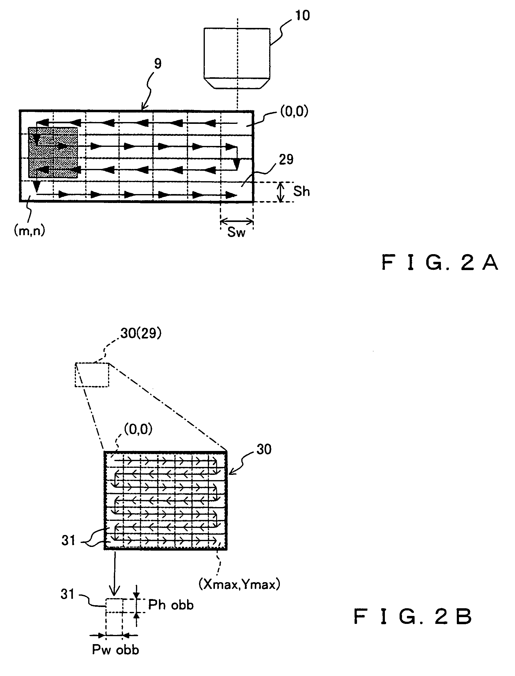 Microscopic image capture apparatus and microscopic image capturing method