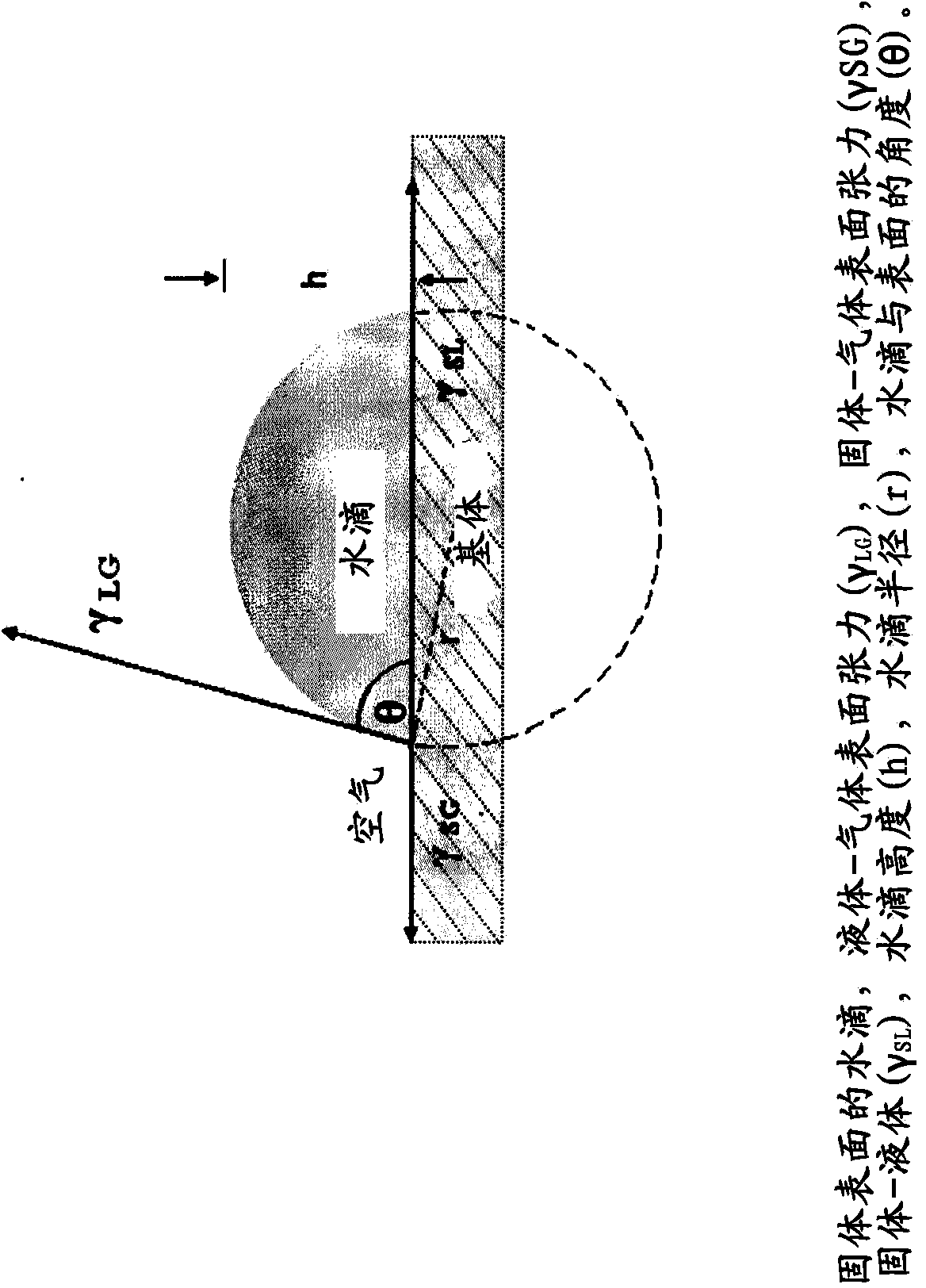 Bulk hydrophilic funtionalization of polyamide 46