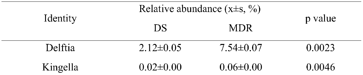 Microbial marker for diagnosis of tuberculosis drug resistance and application of microbial marker