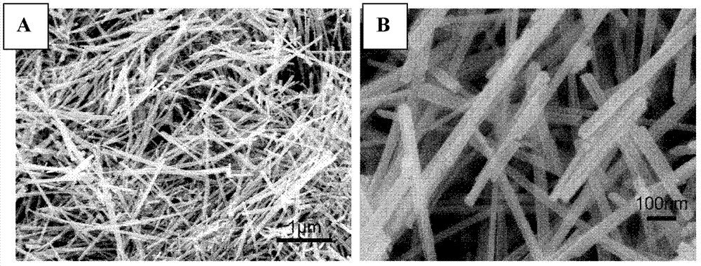 Application of manganese oxide/graphene catalyst