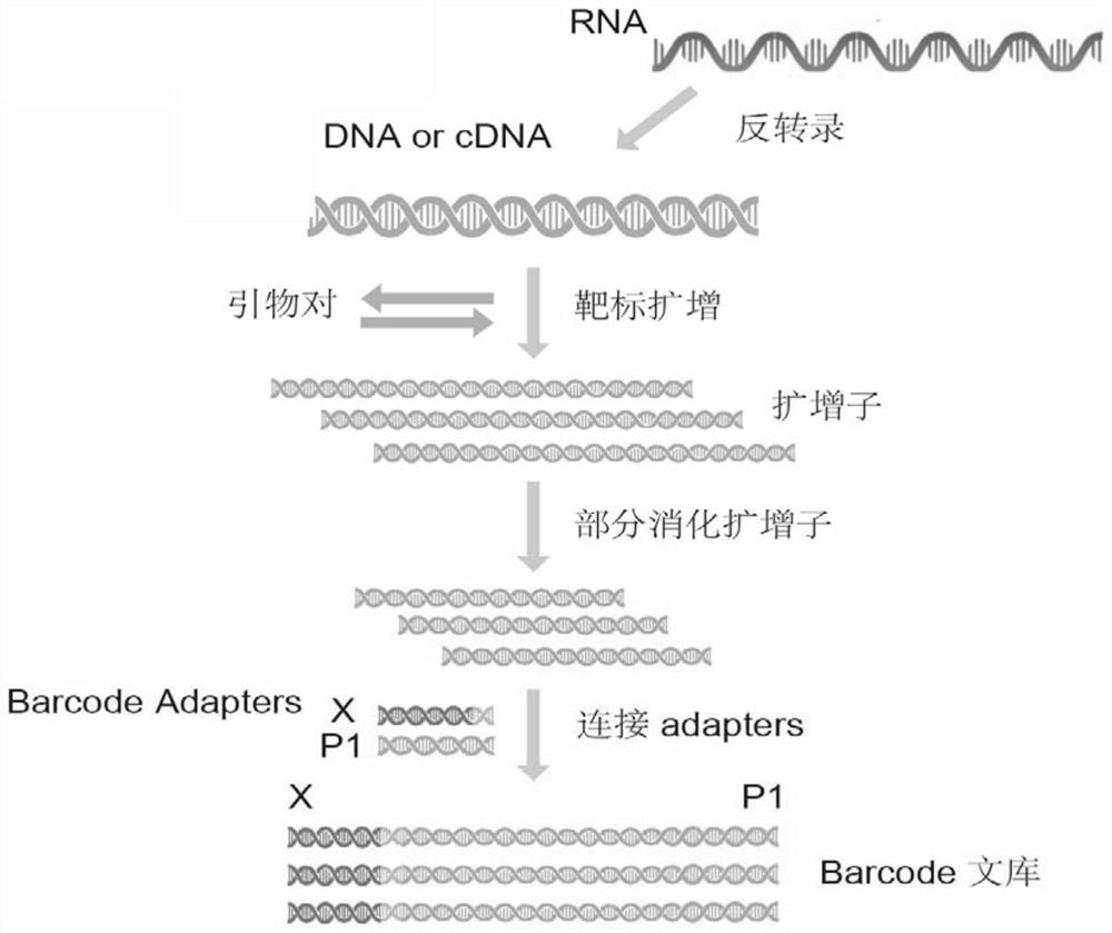 A primer set and application for high-throughput amplicon sequencing of drug-resistant genes of Gram-positive bacteria