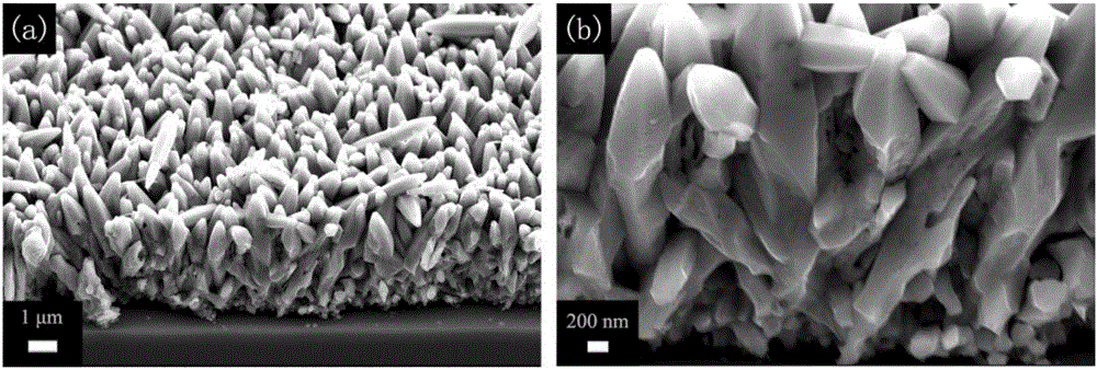 Preparation method of porous zinc oxide nanowire arrays