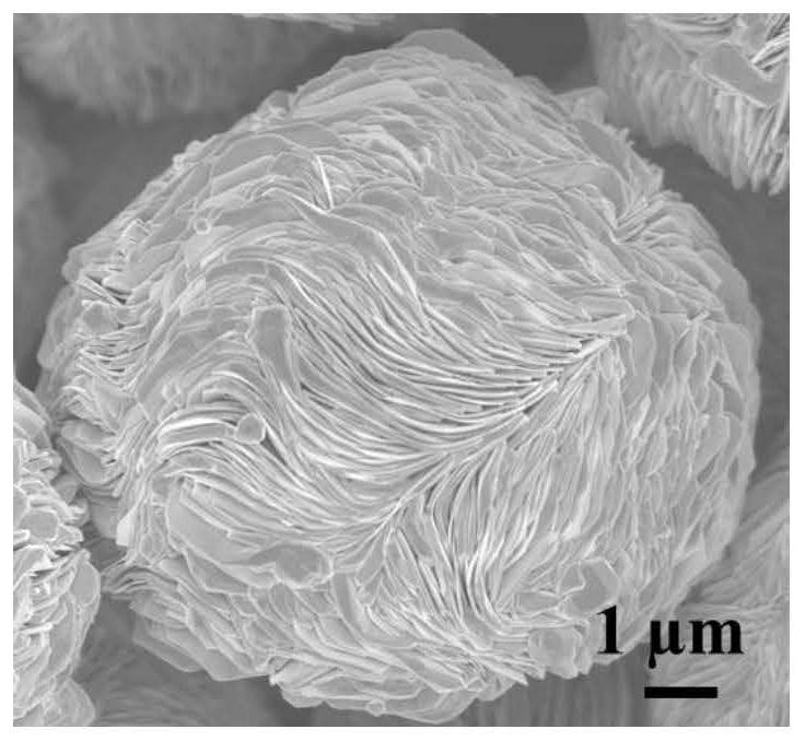 A kind of phenol recognition SERS probe and its preparation, application and SERS-based general ultrasensitive immunoassay method