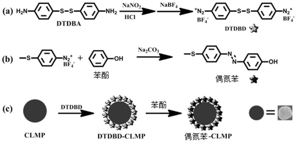 A kind of phenol recognition SERS probe and its preparation, application and SERS-based general ultrasensitive immunoassay method