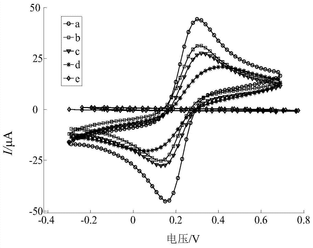 NDM-1 locked nucleic acid probe modified electrode as well as preparation method and application thereof