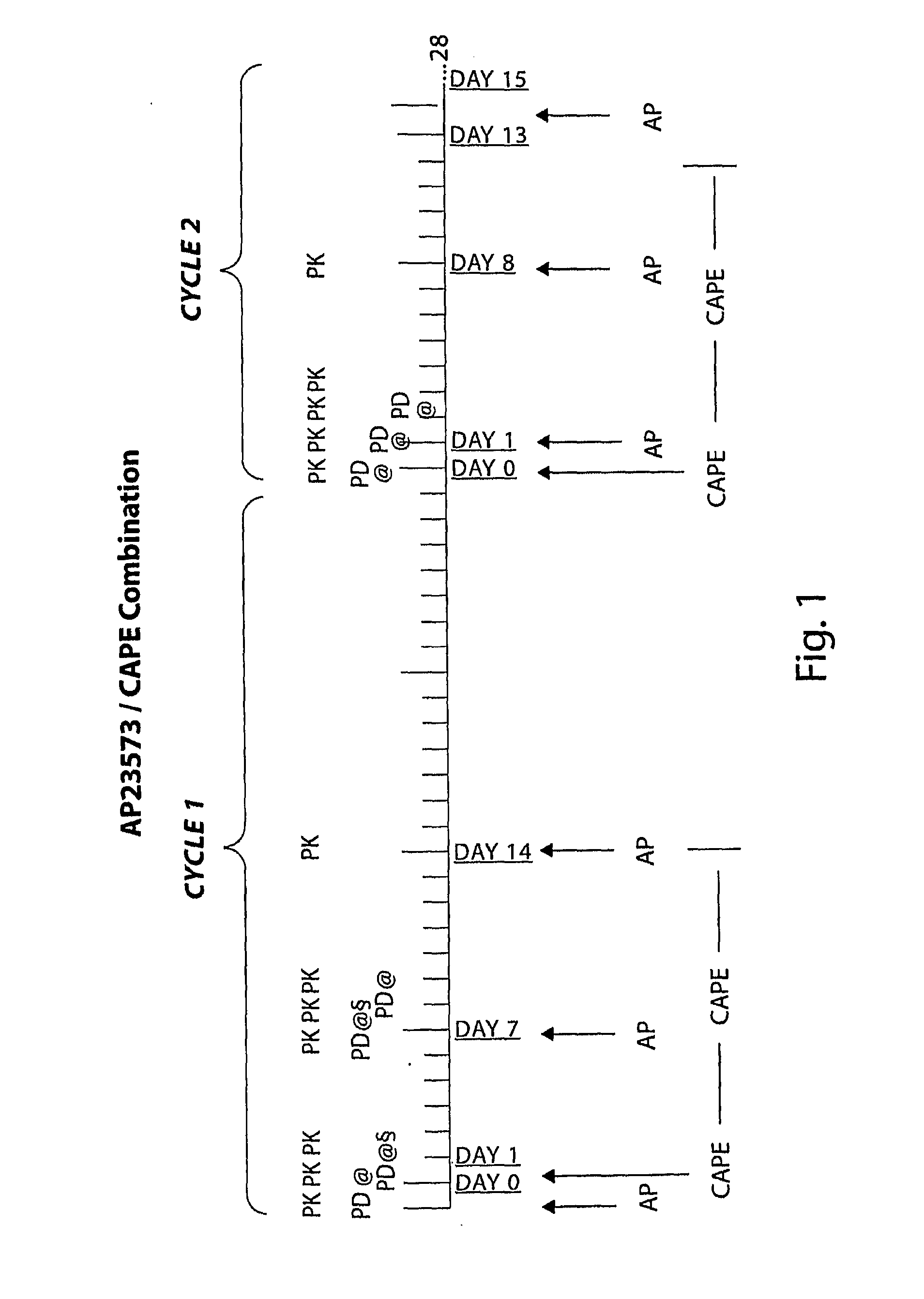 Capecitabine Combination Therapy