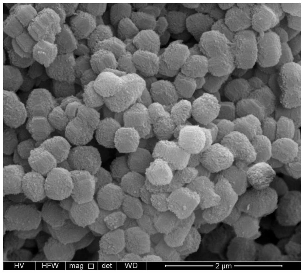 A kind of preparation method of FCC gasoline desulfurization hydrogenation upgrading catalyst