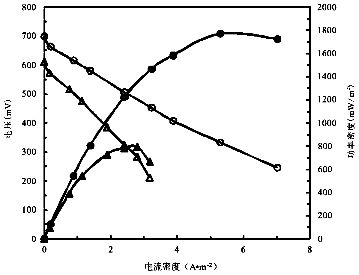 a cofe  <sub>2</sub> o  <sub>4</sub> Preparation method of air cathode catalytic material for /ac microbial fuel cell