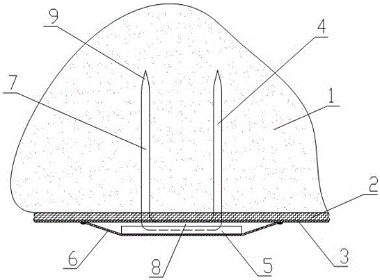 A special slope geomembrane fixing structure and fixing method for landfill