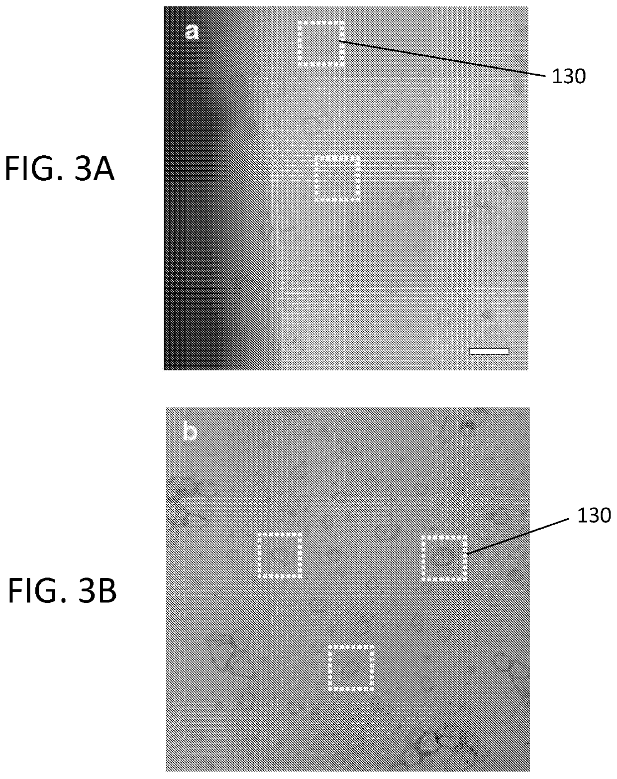 Freezable fluid cell for cryo-electron microscopy