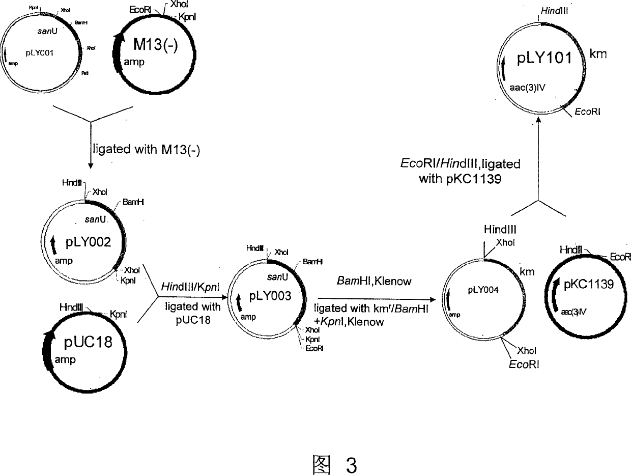 High-yield engineering bacterium of nicomycin x component and its application