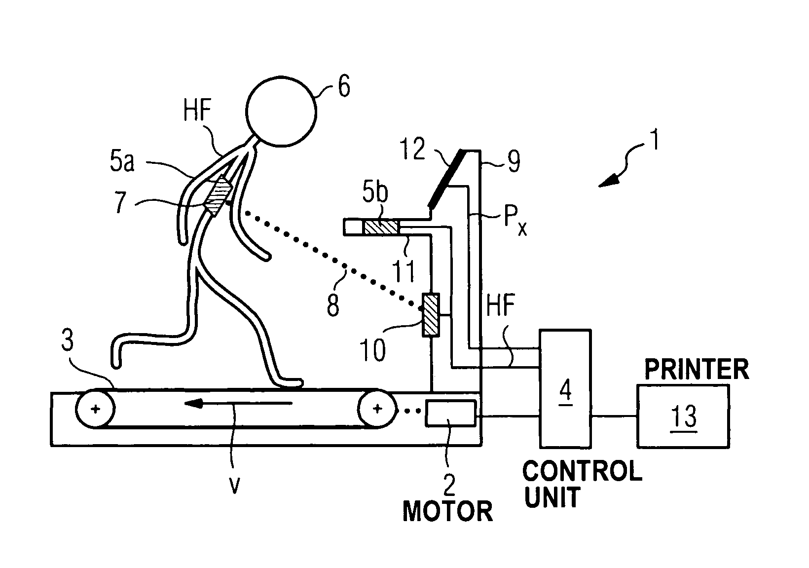 Apparatus and method for training adjustment in sports, in particular in running sports