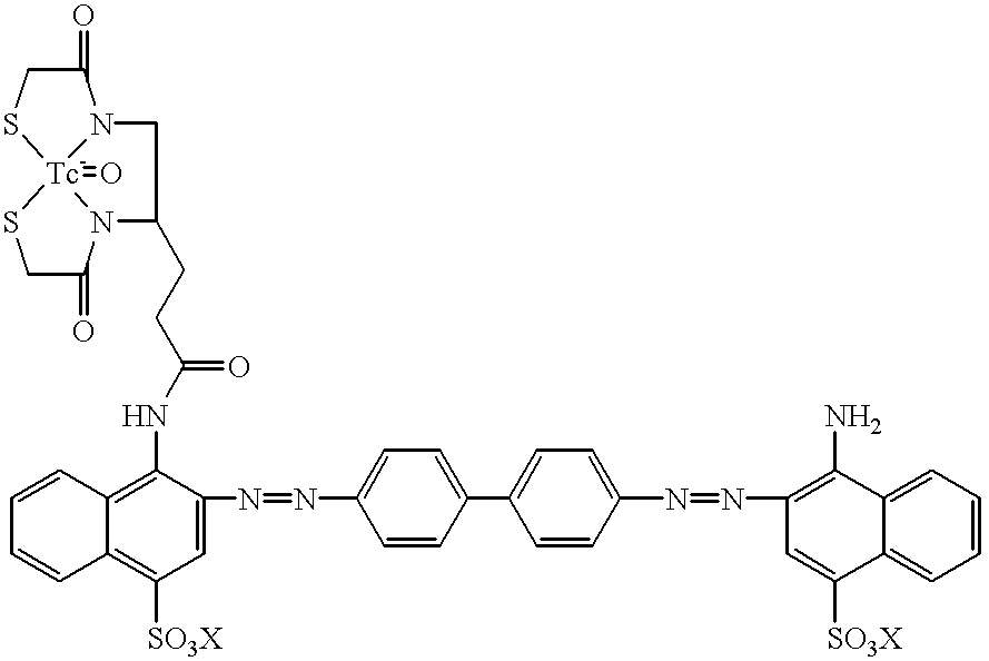 Technetium 99m-N2S2-congo red complexes utilizing diamide dithiolate ligand systems for radioimaging