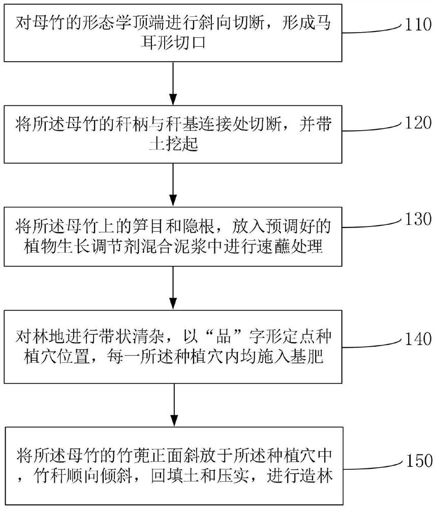 A method for ecologically efficient cultivation of Fendan bamboo forest