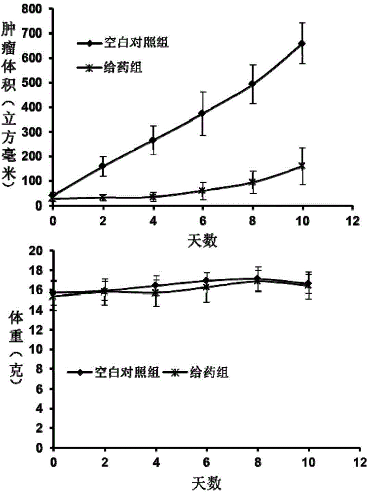 Application of linear polythiourea and hyperbranched polythiourea in preparation of anti-tumor medicines and anti-virus or anti-bacterial medicines