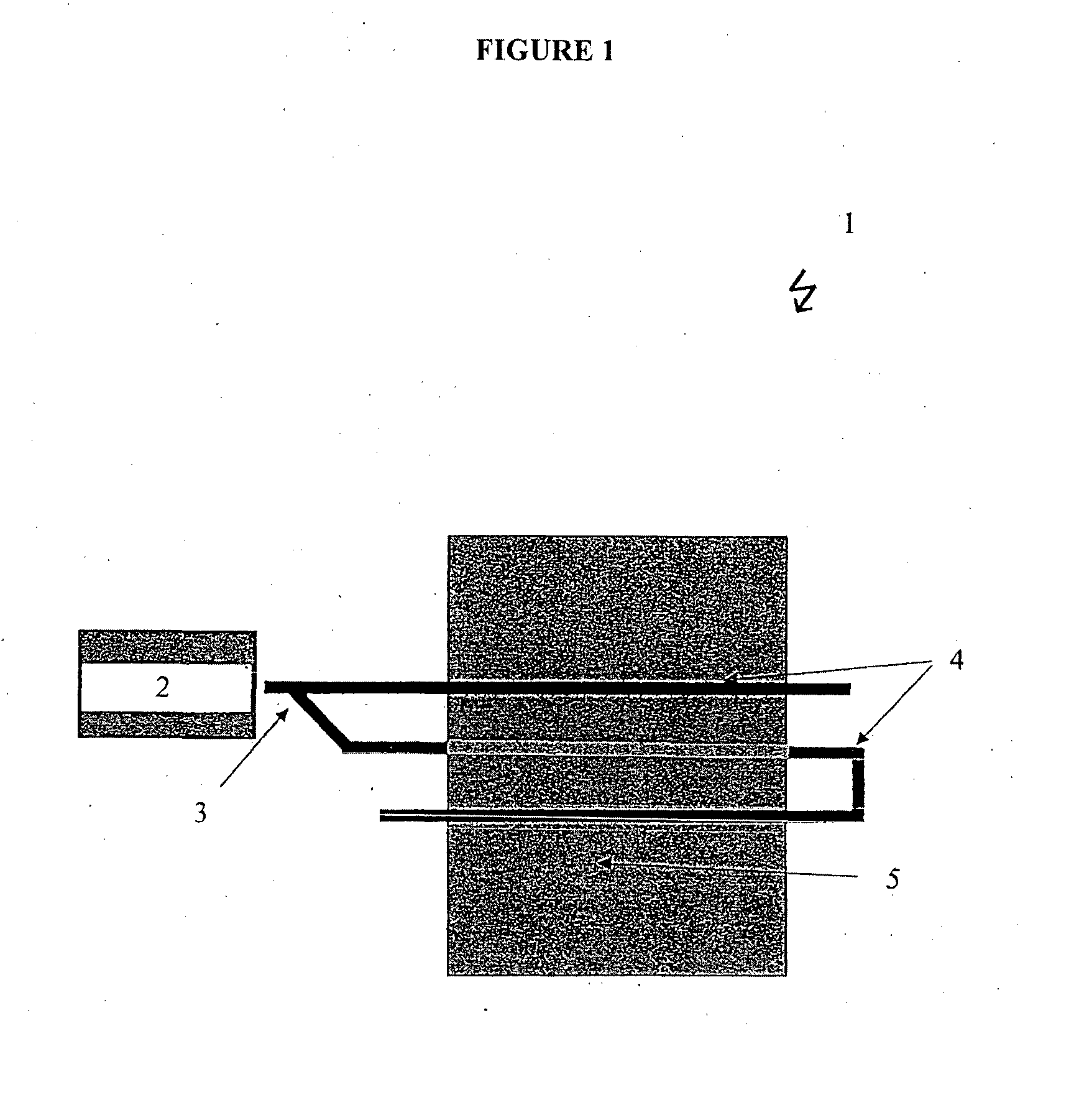 Microwave curing of uncured latex carpet